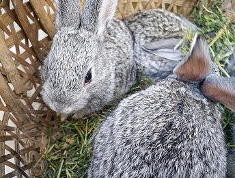 官宣：《孤岛危机：复刻版》9月17日登陆Steam 